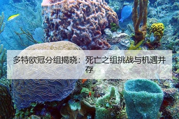 多特欧冠分组揭晓：死亡之组挑战与机遇并存